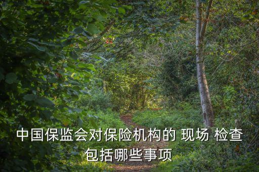 中國保監(jiān)會(huì)對(duì)保險(xiǎn)機(jī)構(gòu)的 現(xiàn)場(chǎng) 檢查包括哪些事項(xiàng)