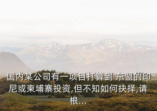 國(guó)內(nèi)某公司有一項(xiàng)目打算到 東盟的印尼或柬埔寨投資,但不知如何抉擇,請(qǐng)根...