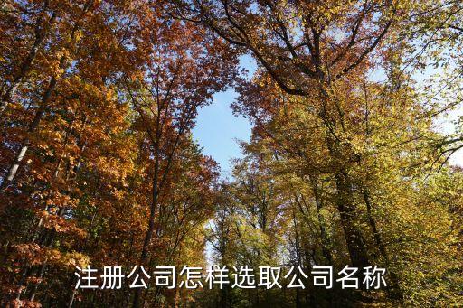 注冊(cè)公司怎樣選取公司名稱(chēng)