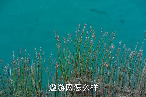  遨游網怎么樣