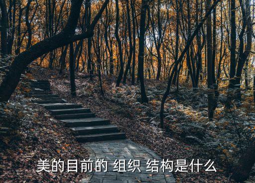 美的目前的 組織 結構是什么