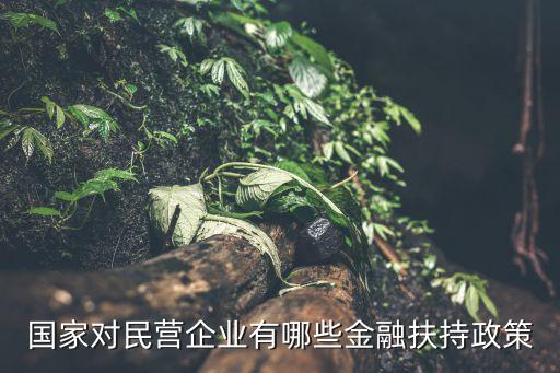 政府性擔(dān)保基金,政府創(chuàng)業(yè)擔(dān)?；鹗菄?guó)家的嗎
