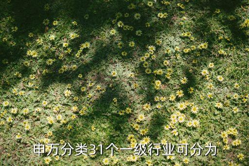 申萬(wàn)分類(lèi)31個(gè)一級(jí)行業(yè)可分為
