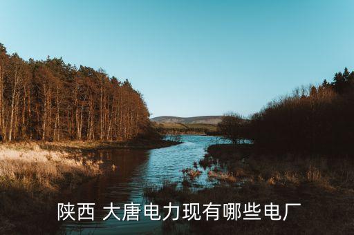  陜西 大唐電力現(xiàn)有哪些電廠(chǎng)