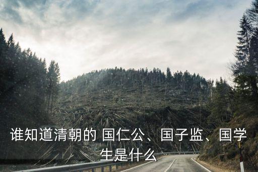 誰知道清朝的 國仁公、國子監(jiān)、國學(xué)生是什么