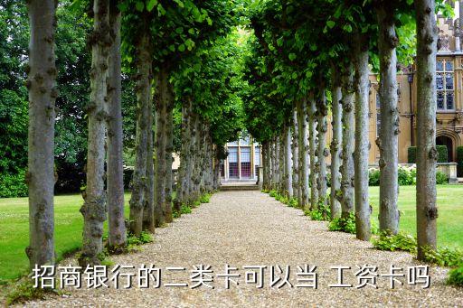 招商銀行的二類卡可以當(dāng) 工資卡嗎