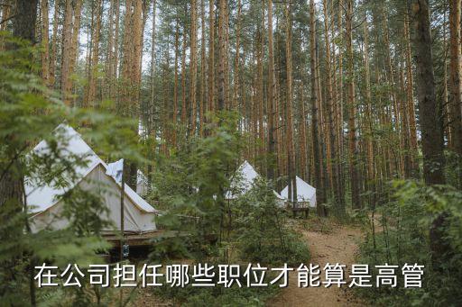 在公司擔任哪些職位才能算是高管