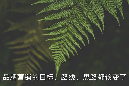 品牌營銷的目標(biāo)、路線、思路都該變了