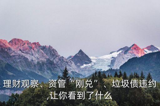 理財(cái)觀察、資管“剛兌”、垃圾債違約,讓你看到了什么