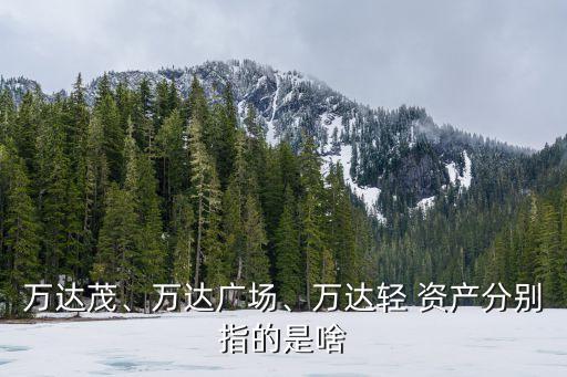 萬達茂、萬達廣場、萬達輕 資產(chǎn)分別指的是啥