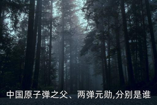 中國原子彈之父、兩彈元?jiǎng)?分別是誰