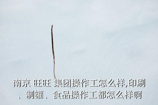 南京 旺旺 集團(tuán)操作工怎么樣,印刷、制罐、食品操作工都怎么樣啊