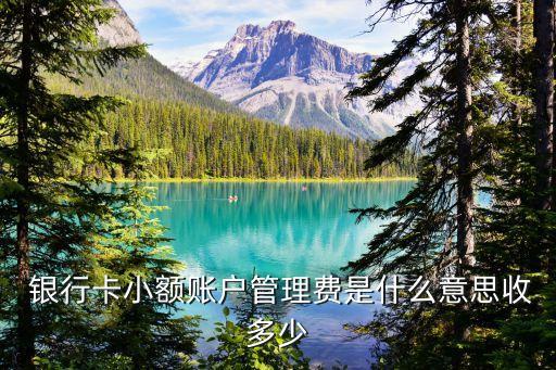  銀行卡小額賬戶(hù)管理費(fèi)是什么意思收多少