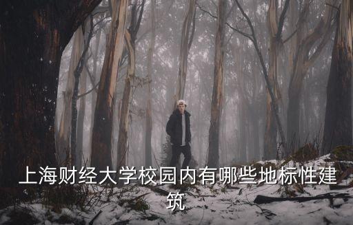  上海財經大學校園內有哪些地標性建筑
