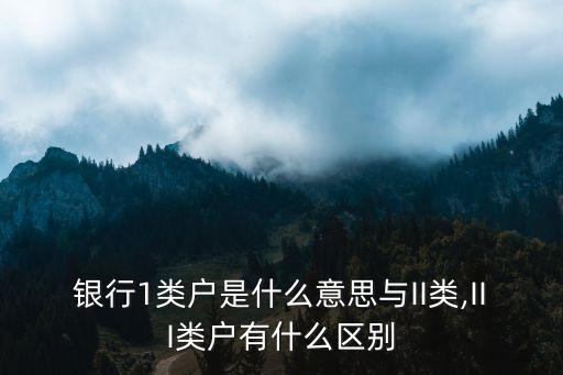 銀行1類(lèi)戶是什么意思與II類(lèi),III類(lèi)戶有什么區(qū)別