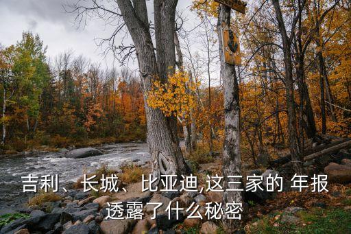 吉利、長(zhǎng)城、比亞迪,這三家的 年報(bào)透露了什么秘密