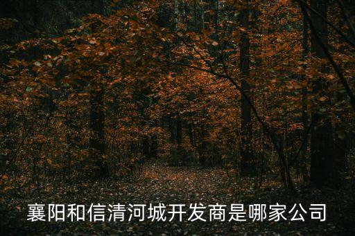 襄陽(yáng)和信清河城開發(fā)商是哪家公司