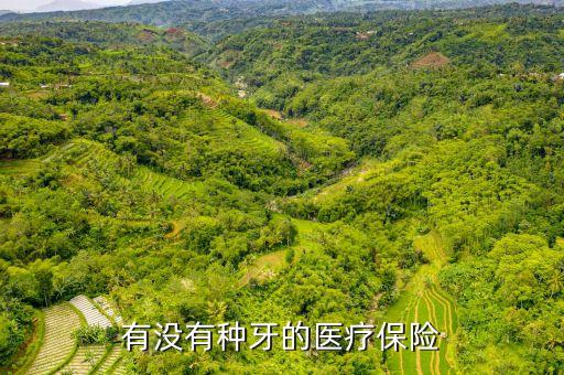 有沒(méi)有種牙的醫(yī)療保險(xiǎn)