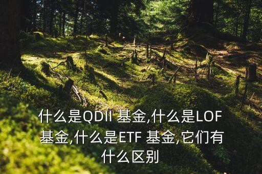lof基金與etf基金,關于ETF基金與LOF基金,以下說法正確的是