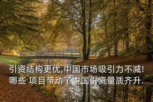 引資結(jié)構(gòu)更優(yōu),中國(guó)市場(chǎng)吸引力不減!哪些 項(xiàng)目帶動(dòng)了中國(guó)引資量質(zhì)齊升...
