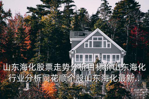 山東?；善弊邉莘治瞿繕藘r山東?；袠I(yè)分析同花順個股山東?；钚?..