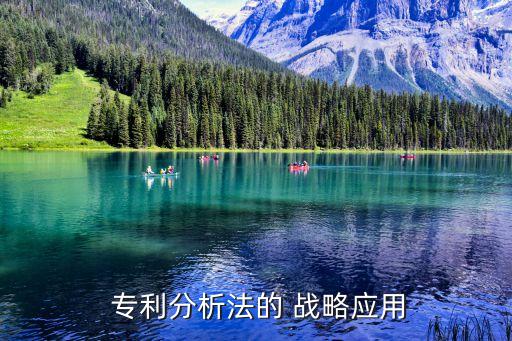  專(zhuān)利分析法的 戰(zhàn)略應(yīng)用