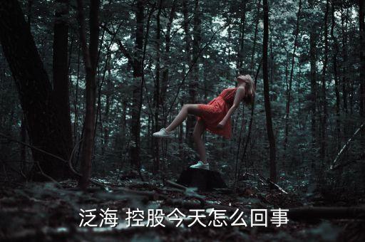 泛海控股股票,000046泛?？毓晒善?/></a></span><span id=