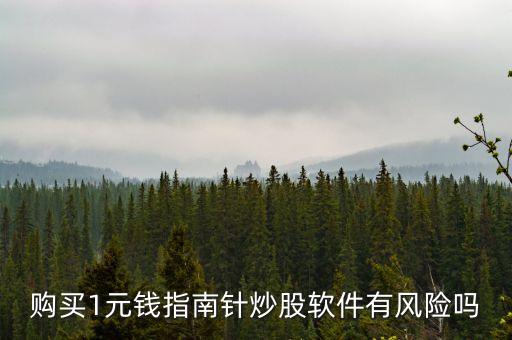 買(mǎi)一元股票,買(mǎi)一股票次日會(huì)虧損完嗎