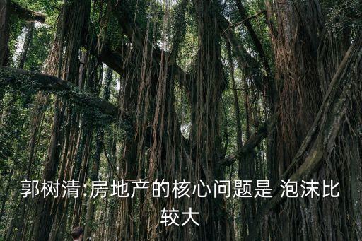 郭樹清:房地產的核心問題是 泡沫比較大