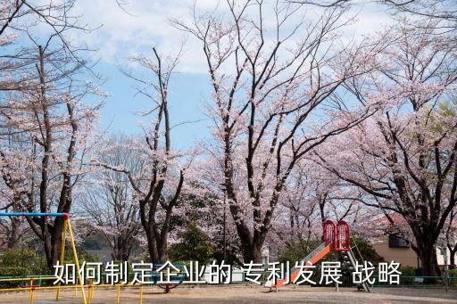 如何制定企業(yè)的 專(zhuān)利發(fā)展 戰(zhàn)略