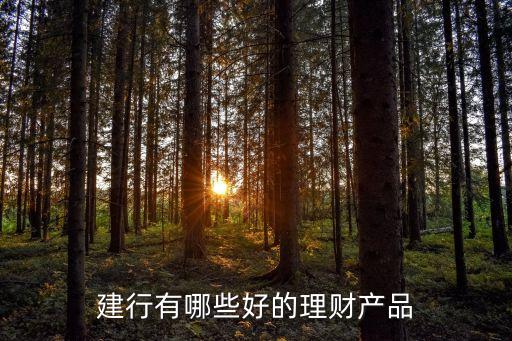 2010建設銀行年報,建設銀行2022年年報pdf