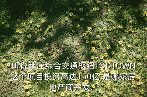 聽說(shuō)莘莊綜合交通樞紐TODTOWN這個(gè)項(xiàng)目投資高達(dá)150億,是哪家房地產(chǎn)商開發(fā)...