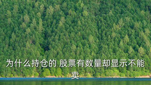 為什么持倉的 股票有數量卻顯示不能賣