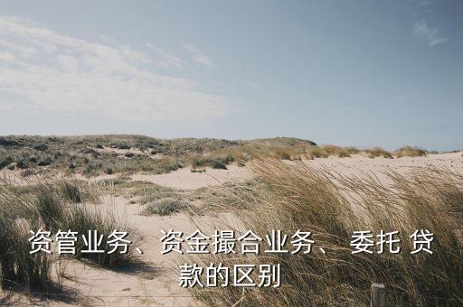 資管業(yè)務(wù)、資金撮合業(yè)務(wù)、 委托 貸款的區(qū)別