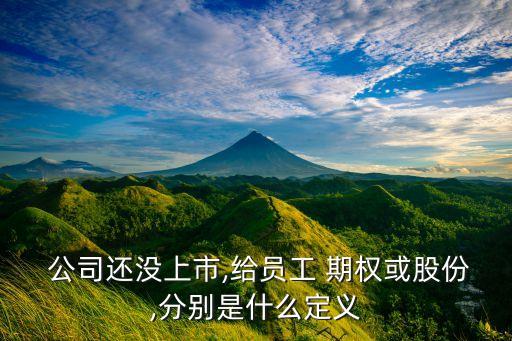  公司還沒上市,給員工 期權或股份,分別是什么定義