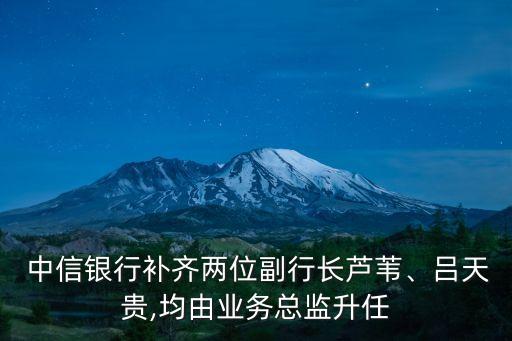  中信銀行補(bǔ)齊兩位副行長(zhǎng)蘆葦、呂天貴,均由業(yè)務(wù)總監(jiān)升任