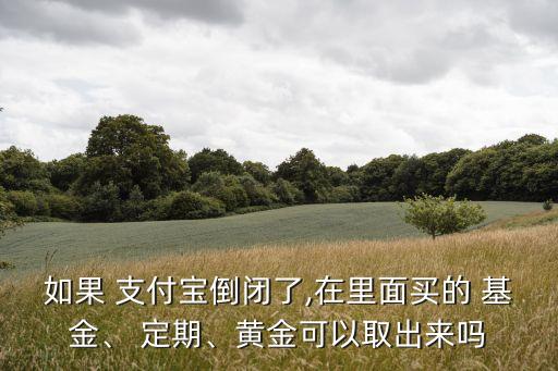 如果 支付寶倒閉了,在里面買的 基金、 定期、黃金可以取出來嗎