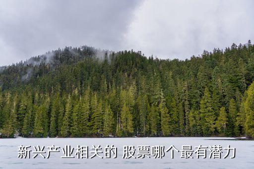新興產業(yè)相關的 股票哪個最有潛力