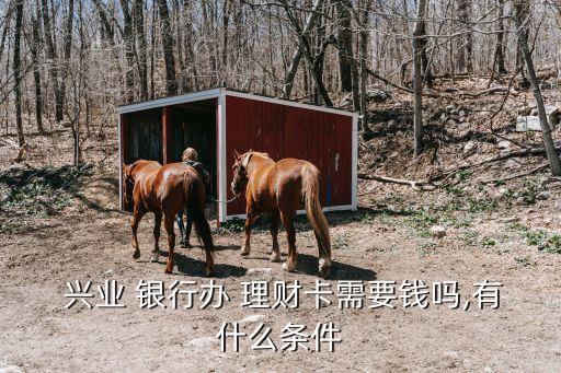  興業(yè) 銀行辦 理財(cái)卡需要錢(qián)嗎,有什么條件