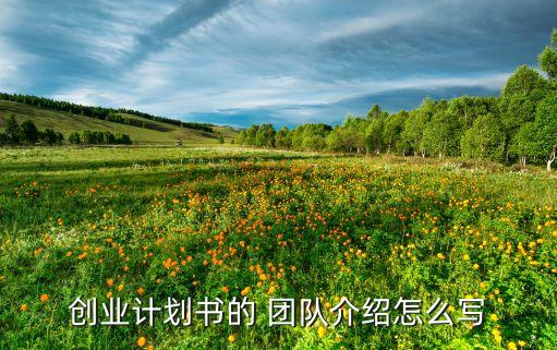 創(chuàng)業(yè)計(jì)劃書的 團(tuán)隊(duì)介紹怎么寫