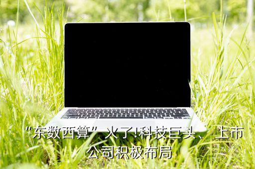“東數(shù)西算”火了!科技巨頭、 上市 公司積極布局