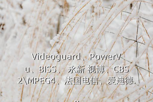 Videoguard、PowerVu、BISS、 永新 視博、CBS2\MPEG4、法國電信、愛迪德...