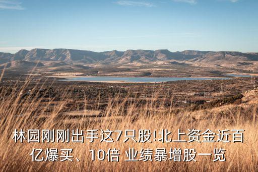 林園剛剛出手這7只股!北上資金近百億爆買、10倍 業(yè)績暴增股一覽