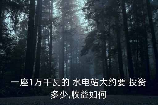 投資水電站掙錢(qián)嗎,投資小水電站最新政策
