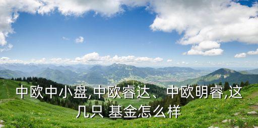 中歐中小盤,中歐睿達(dá)、中歐明睿,這幾只 基金怎么樣