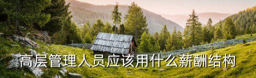 出租車(chē)公司高管年薪,公司高管年薪一般多少