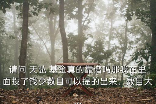 請問 天弘 基金真的靠譜嗎那我在里面投了錢少數(shù)目可以提的出來、數(shù)目大...