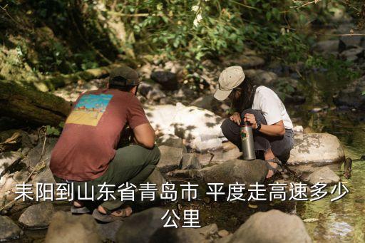 平度金泰隆投資,平度泰隆自動化設(shè)備廠