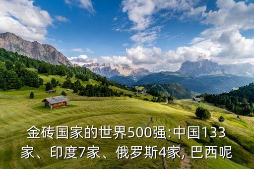金磚國(guó)家的世界500強(qiáng):中國(guó)133家、印度7家、俄羅斯4家, 巴西呢