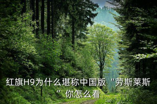 中國(guó)國(guó)產(chǎn)豪車(chē)